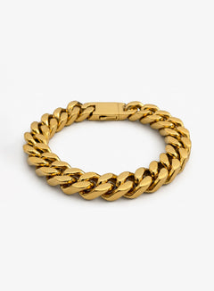 Titan – Gold Link